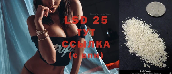спиды Богданович