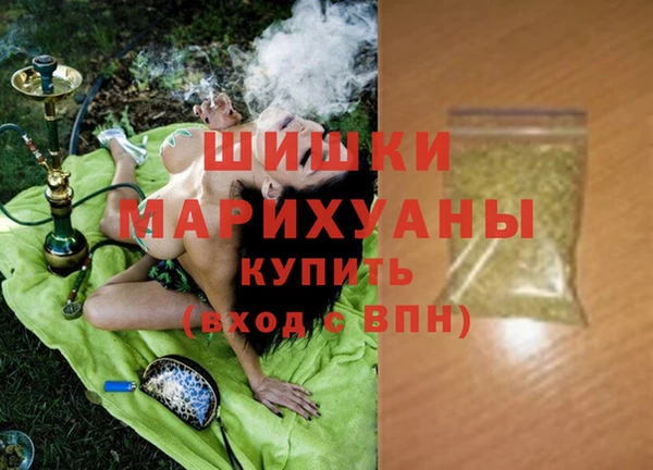 амф Богородицк