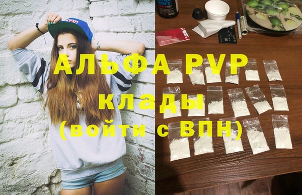 спиды Богданович