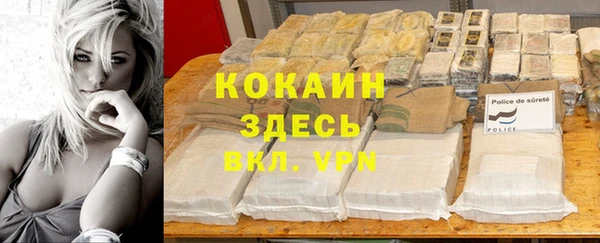 спиды Богданович