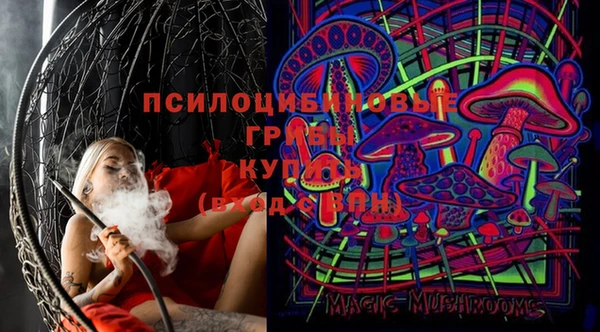 амф Богородицк