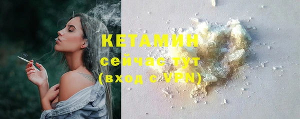 спиды Богданович