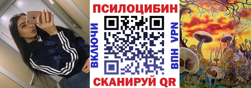 Галлюциногенные грибы Psilocybe Тырныауз
