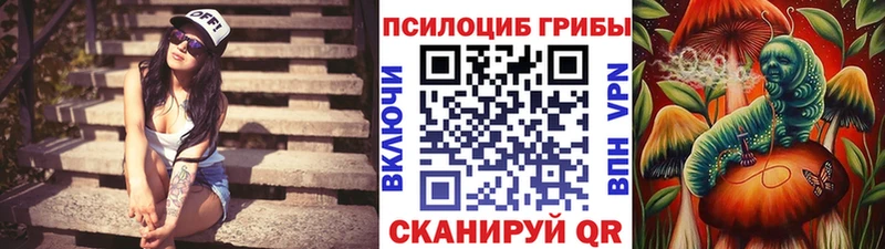 Купить закладки  Тырныауз  Псилоцибиновые грибы Psilocybe 